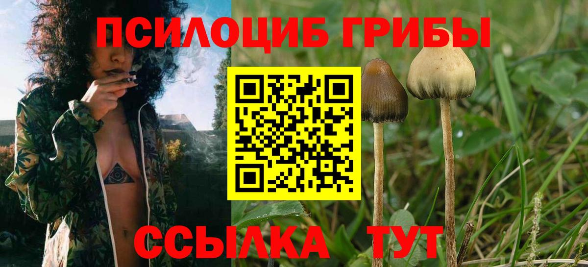 Чапаевск  Псилоцибиновые грибы прущие грибы  Вход с VPN 