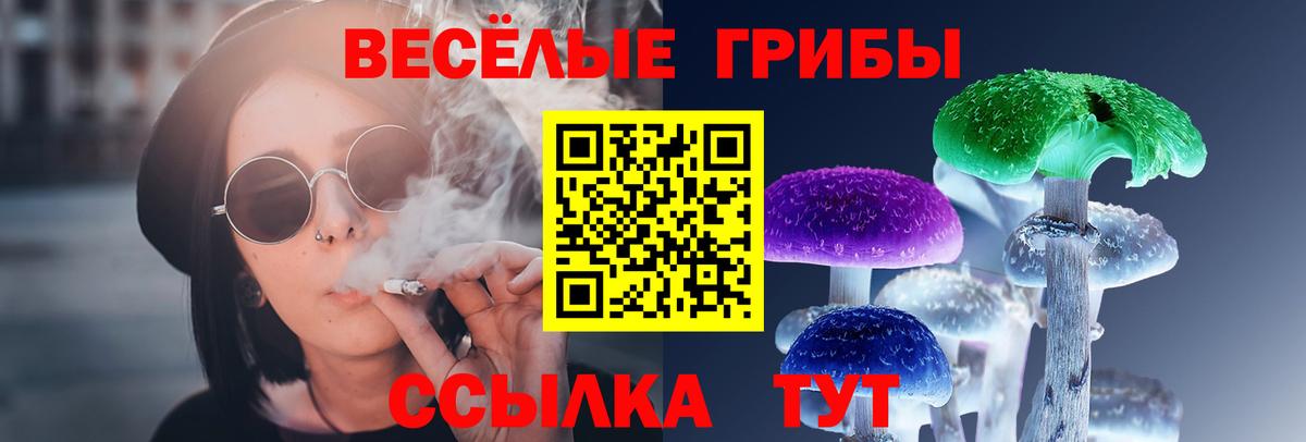 Галлюциногенные грибы ЛСД Чапаевск